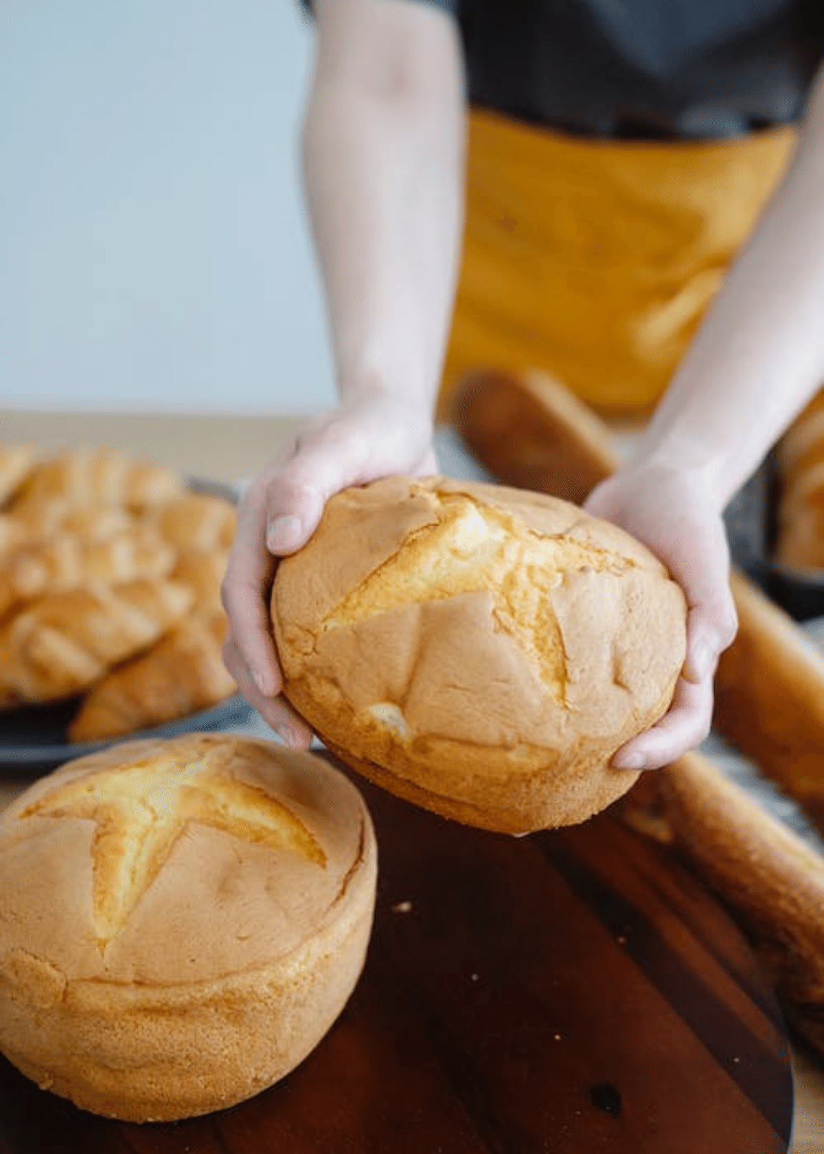 https://www.consumergems.com/content/images/2022/10/Best-Dutch-Oven-for-Bread.png